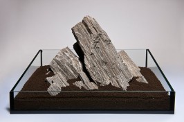 S-041-Glimmer-Wood-Rock