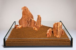 S-042-Versteinertes-Holz