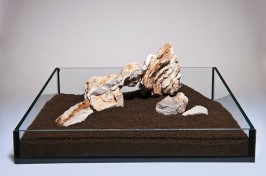 S-088-Desert-Moon